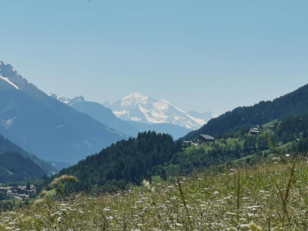 Apartmán Haus Seiler Goms Exteriér fotografie