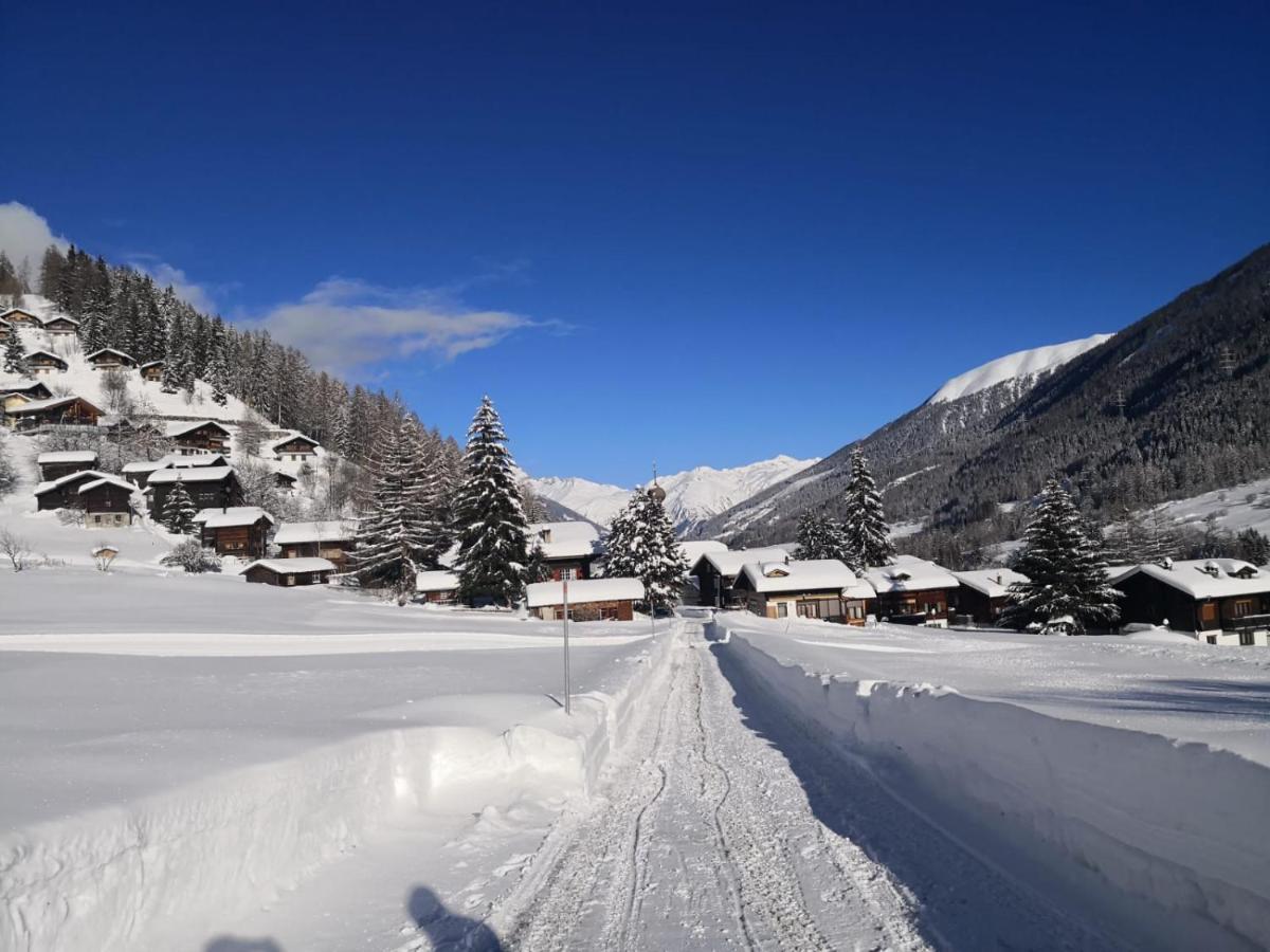 Apartmán Haus Seiler Goms Exteriér fotografie